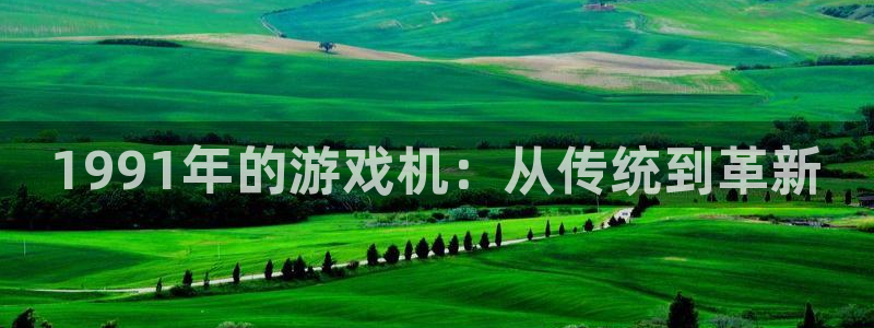 蓝图娱乐官网的所有小说：1991年的游戏机：从传统到革新