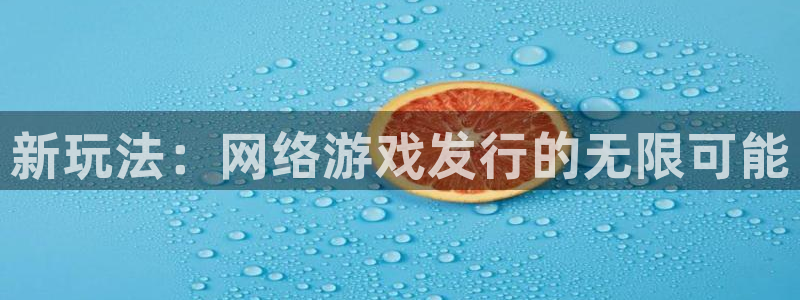 广东蓝图娱乐官网营销策划有限公司：新玩法：网络游戏发行的无限可能