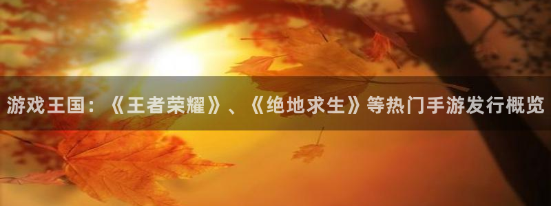 蓝图娱乐官网户外