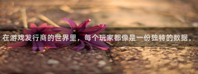 蓝图娱乐登录注册失败怎么办：在游戏发行商的世界里，每个玩家都像是一份独特的数据。