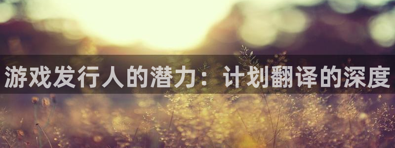 蓝图娱乐官网子公司怎么样：游戏发行人的潜力：计划翻译的深度