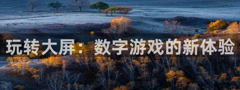 蓝图娱乐官网子经理人杂志：玩转大屏：数字游戏的新体验