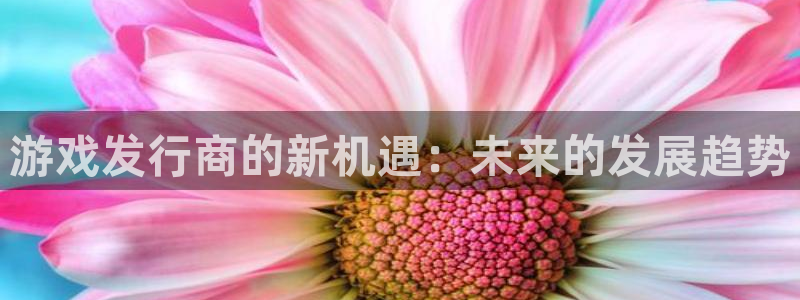 蓝图娱乐注册平台怎么注册：游戏发行商的新机遇：未来的发展趋势