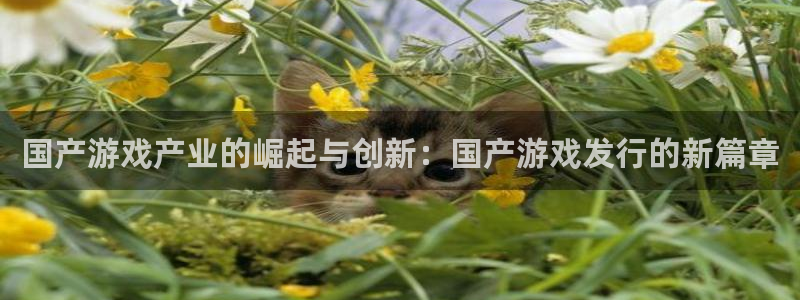 四川蓝图娱乐官网科技有限公司怎么样：国产游戏产业的崛起与创新：国产游戏发行的新篇章
